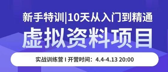 虚拟资料项目新手特训，10天从入门到精通，保姆级实操教学-副业网