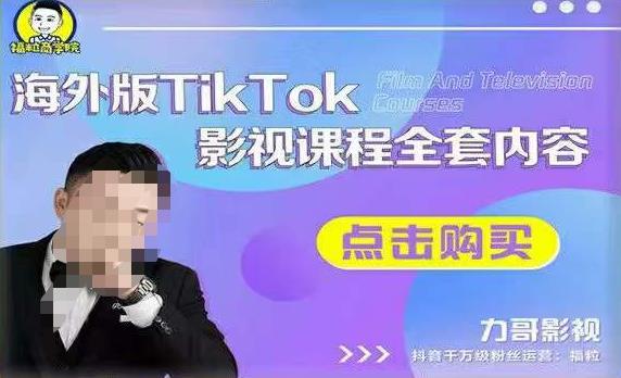 海外TikTok影视课程全套，从搭建渠道，到如何正确使用账号，到未来的变现渠道等-副业网