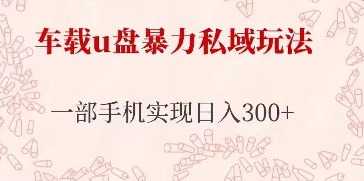 车载u盘暴力私域玩法，长期项目，仅需一部手机实现日入300+-副业网