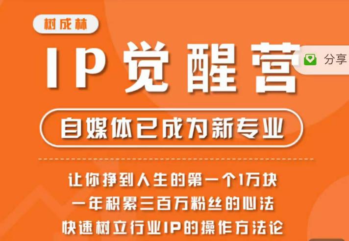 树成林·IP觉醒营，快速树立行业IP的操作方法论，让你赚到人生的第一个1万块（更新）-副业网