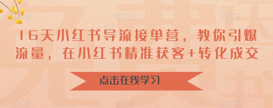 16天小红书导流接单营，教你引爆流量，在小红书精准获客+转化成交-副业网