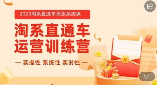 冠东·2023淘系直通车高级系统课，​实操性，系统性，实时性，直通车完整体系教学-副业网