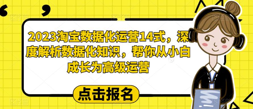 2023淘宝数据化运营14式，深度解析数据化知识，帮你从小白成长为高级运营-副业网