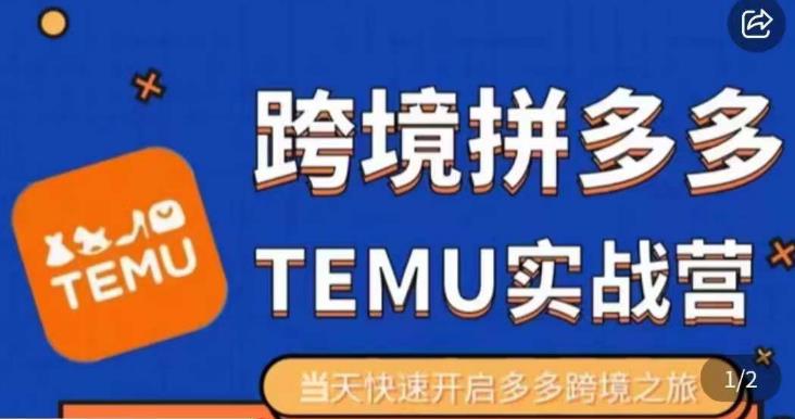 大鹏出海·拼多多跨境temu运营指导，开店注册+选品+核价上架，日出千单实战课-副业网