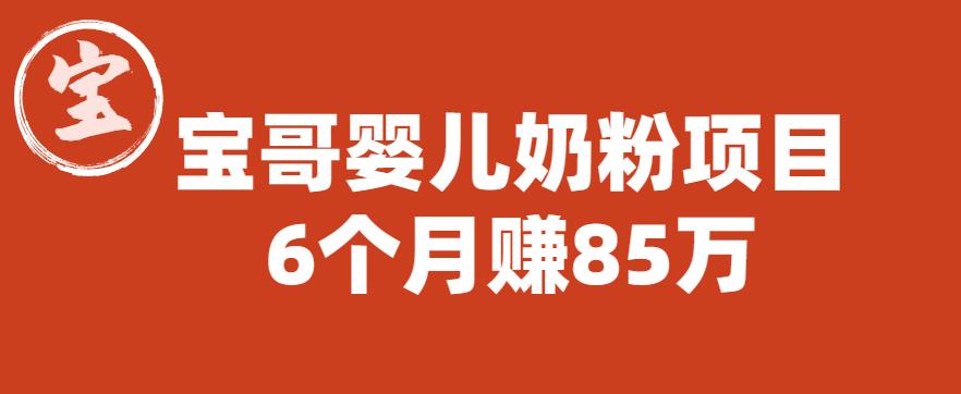 宝哥婴儿奶粉项目，6个月赚85w【图文非视频】【揭秘】-副业网