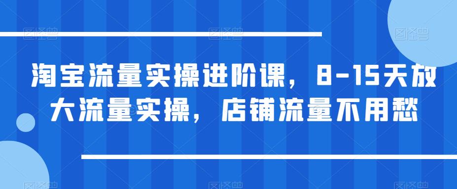淘宝流量实操进阶课，8-15天放大流量实操，店铺流量不用愁-副业网
