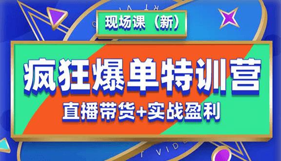 抖音短视频疯狂爆单特训营现场课（新）直播带货+实战案例-副业网