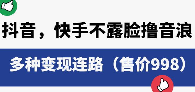 抖音快手不露脸撸音浪项目，多种变现连路（售价998）-副业网