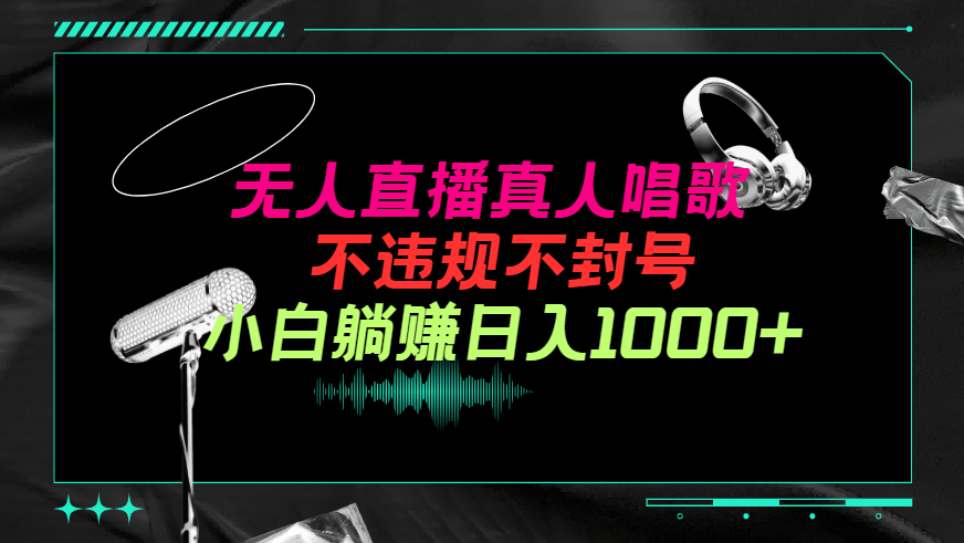 (9622期）抖音24小时无人直播音乐，不违规，不封号纯撸音浪，小白实操当天日入1000+-副业网
