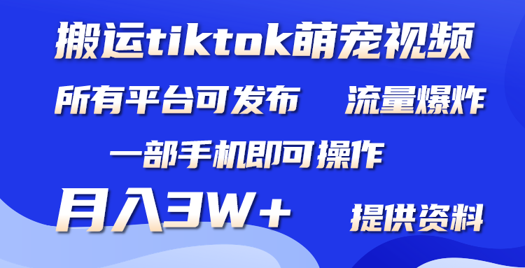 搬运Tiktok萌宠类视频，一部手机即可。所有短视频平台均可操作，月入3W+-副业网