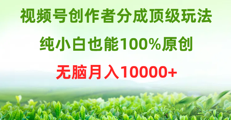 视频号创作者分成顶级玩法，纯小白也能100%原创，无脑月入10000+-副业网