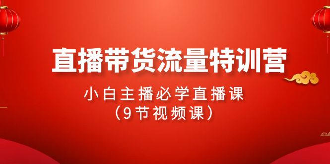 2024直播带货流量特训营，小白主播必学直播课-副业网