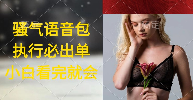 执行就出单，日入2000+，超火骚气语音包，小白看完课程就能马上实操-副业网