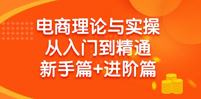 电商理论与实操从入门到精通 新手篇+进阶篇-副业网