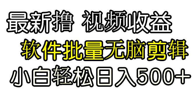 发视频撸收益，软件无脑批量剪辑，第一天发第二天就有钱-副业网