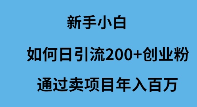 新手小白如何日引流200+创业粉通过卖项目年入百万-副业网