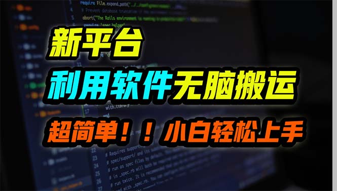 新平台用软件无脑搬运，月赚10000+，小白也能轻松上手-副业网