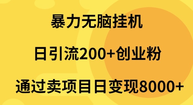 暴力无脑挂机日引流200+创业粉通过卖项目日变现2000+-副业网