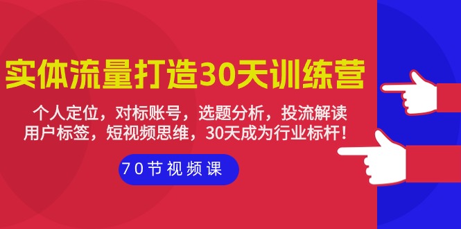 实体-流量打造-30天训练营：个人定位，对标账号，选题分析，投流解读-70节-副业网