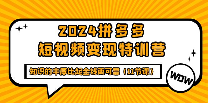 2024拼多多短视频变现特训营，知识的丰厚比起金钱更可靠-副业网