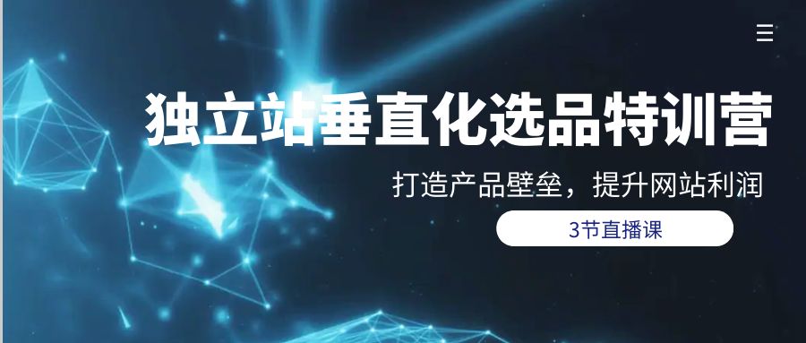 独立站-垂直化选品训练营，打造产品壁垒，提升网站利润-副业网