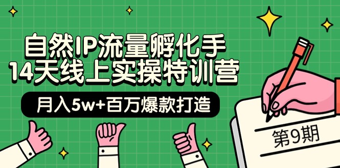 自然IP流量孵化手 14天线上实操特训营【第9期】月入5w+百万爆款打造 (74节)-副业网