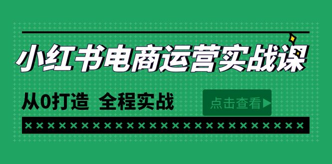 最新小红书·电商运营实战课，从0打造  全程实战-副业网