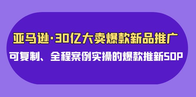 亚马逊30亿·大卖爆款新品推广，可复制、全程案例实操的爆款推新SOP-副业网