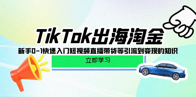 TikTok-出海淘金，新手0-1快速入门短视频直播带货等引流到变现的知识-副业网