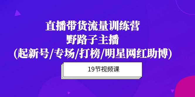 直播带货流量特训营，野路子主播(起新号/专场/打榜/明星网红助博)19节课-副业网