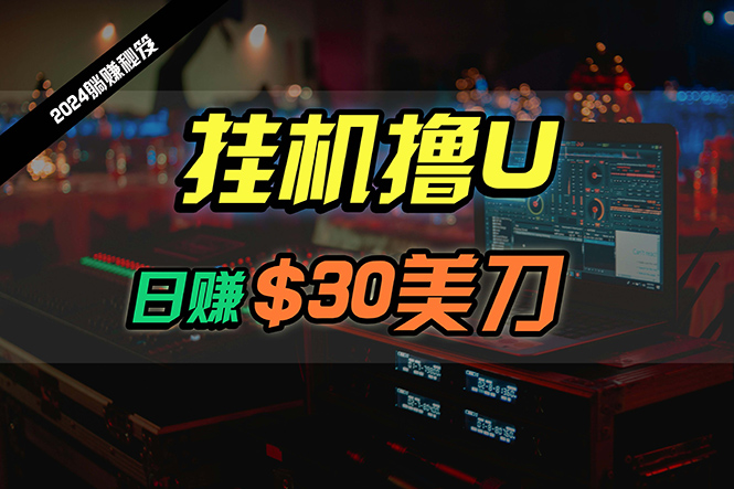 日赚30美刀，2024最新海外挂机撸U内部项目，全程无人值守，可批量放大-副业网