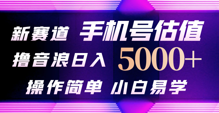 抖音不出境直播【手机号估值】最新撸音浪，日入5000+，简单易学，适合…-副业网
