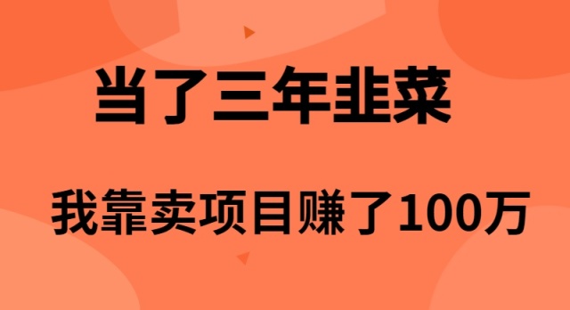当了3年韭菜，我靠卖项目赚了100万-副业网