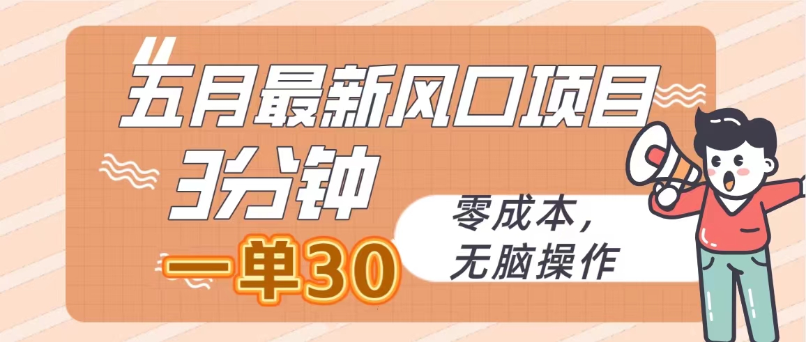 五月最新风口项目，3分钟一单30，零成本，无脑操作-副业网