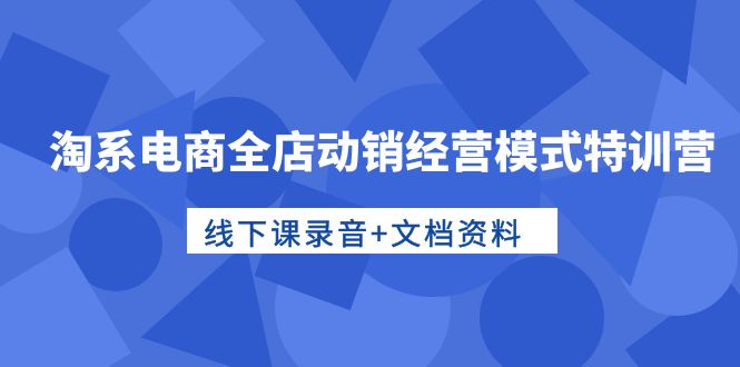 淘系电商全店动销经营模式特训营，线下课录音+文档资料-副业网