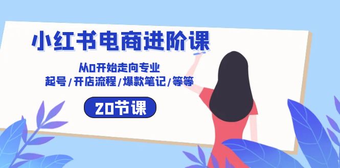 小红书电商进阶课：从0开始走向专业 起号/开店流程/爆款笔记/等等-副业网