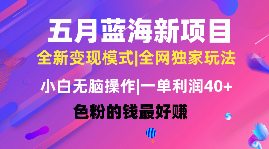 五月蓝海项目全新玩法，小白无脑操作，一天几分钟，矩阵操作，月入4万+-副业网