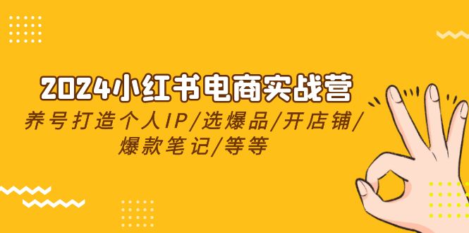2024小红书电商实战营，养号打造IP/选爆品/开店铺/爆款笔记/等等-副业网