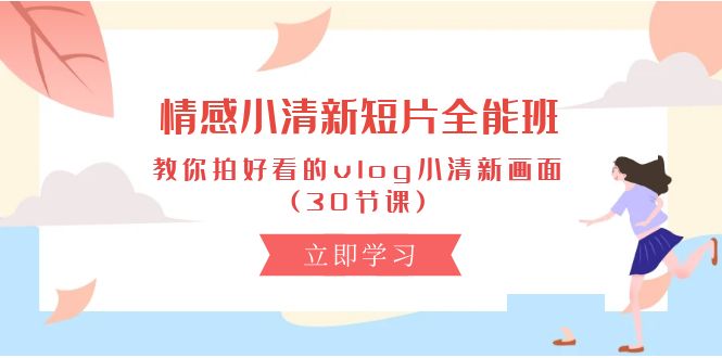 情感 小清新短片-全能班，教你拍好看的vlog小清新画面 (30节课)-副业网