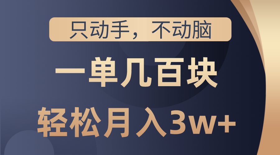只动手不动脑，一单几百块，轻松月入3w+，看完就能直接操作，详细教程-副业网