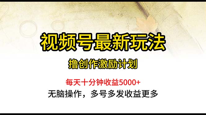 视频号最新玩法，每日一小时月入5000+-副业网