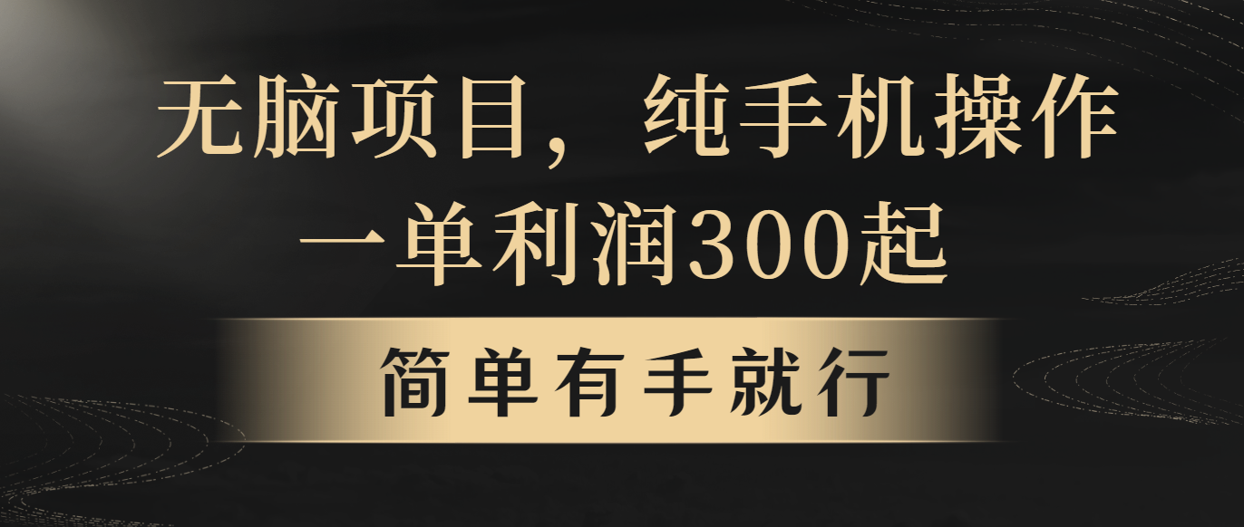 无脑项目，一单几百块，轻松月入5w+，看完就能直接操作-副业网