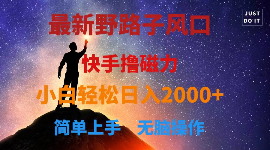 最新风口！快手撸磁力，野路子，小白无脑操作日入2000+-副业网
