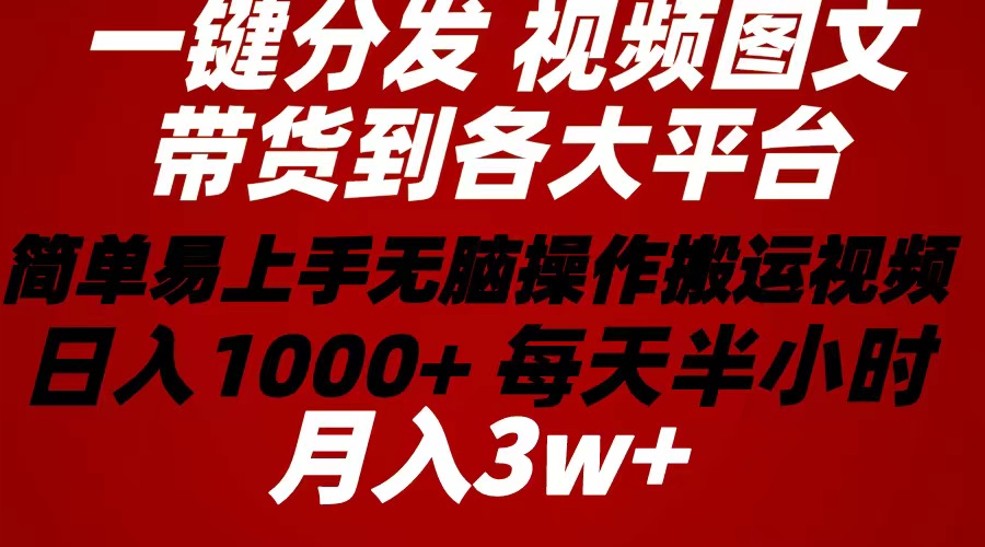 2024年 一键分发带货图文视频  简单易上手 无脑赚收益 每天半小时日入1…-副业网