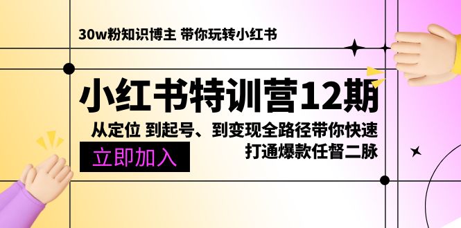小红书特训营12期：从定位 到起号、到变现全路径带你快速打通爆款任督二脉-副业网