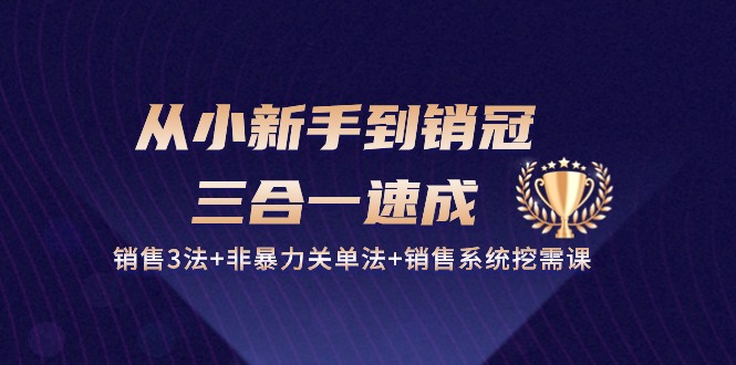 从小新手到销冠 三合一速成：销售3法+非暴力关单法+销售系统挖需课 (27节)-副业网