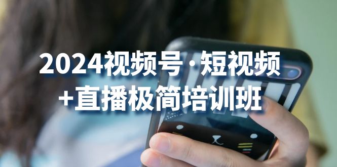 2024视频号·短视频+直播极简培训班：抓住视频号风口，流量红利-副业网