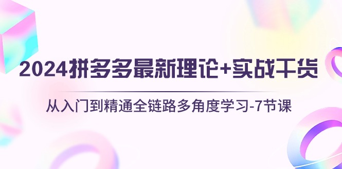 2024拼多多 最新理论+实战干货，从入门到精通全链路多角度学习-7节课-副业网