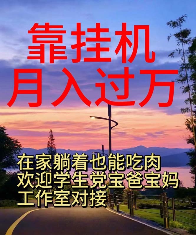 靠挂机，日入1000+，躺着也能吃肉，适合宝爸宝妈学生党工作室，电脑手…-副业网