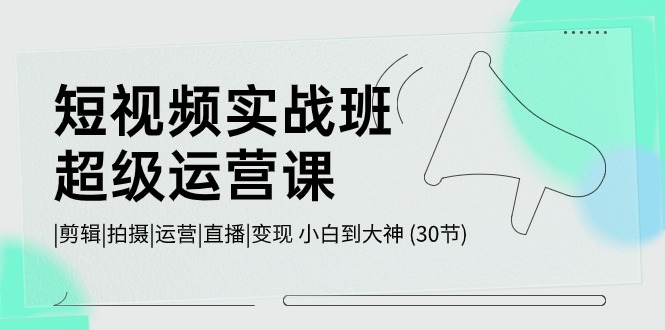 短视频实战班-超级运营课，|剪辑|拍摄|运营|直播|变现 小白到大神 (30节)-副业网